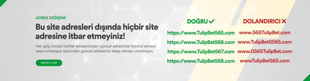 Tulipbet Giriş Adresi