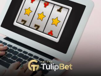 tulipbet üye ol