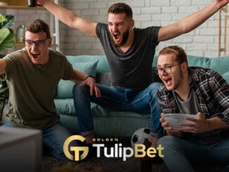 Tulipbet TV