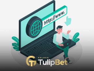 Tulipbet yeni adres