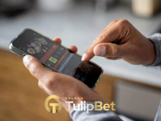 tulipbet yeni giriş