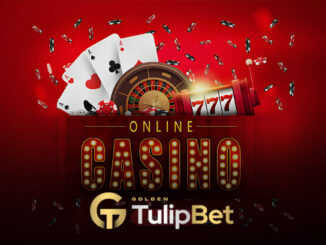 Tulipbet Casino Discount Bonusu (%20)