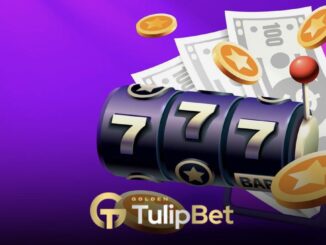 Tulipbet Casino Hoşgeldin Bonusu