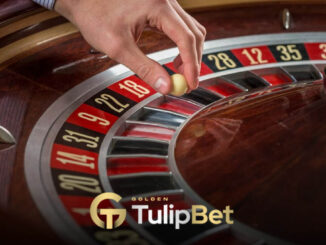 Tulipbet Bay Tahmin Jackpot