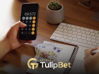 Tulipbet yatırım