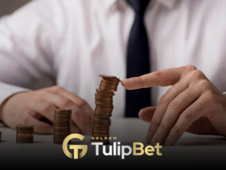Tulipbet çekim limiti