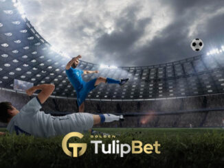 Tulipbet futbol bahisleri
