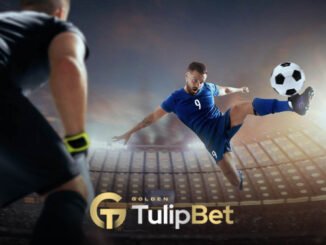 Tulipbet maç izle