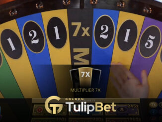 Tulipbet Evolution Live Dream Tournament