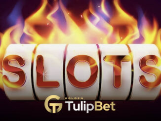 Tulipbet Wazdan Mayıs turnuvası