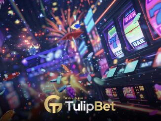 Tulipbet kullanım kuralları