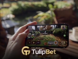 Tulipbet poker