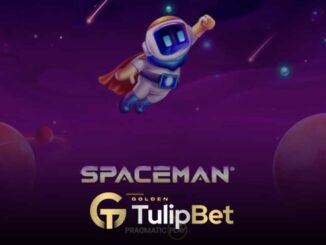 Tulipbet Space Man