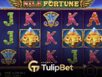 Tulipbet Nile Fortune
