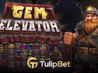 Tulipbet gem elevator