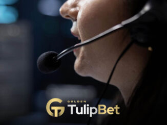 Tulipbet iletişim yolları