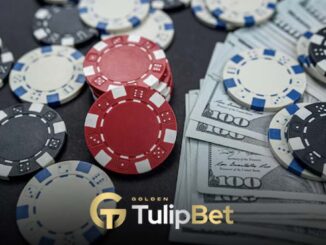 Tulipbet all american poker