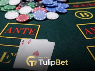 Tulipbet hızlı bahis