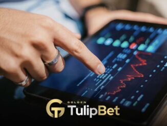 Tulipbet özen oran