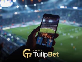 Tulipbet yüksek oranlar