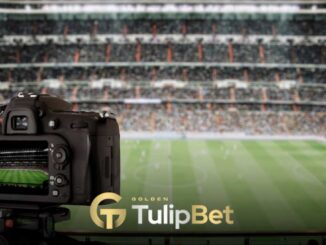 Tulipbet TulipbetTV Nedir?