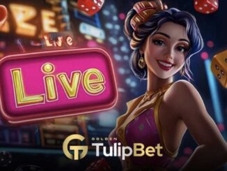 Tulipbet Live Altın rulet