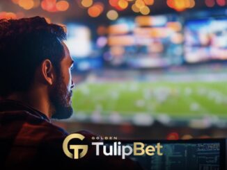 Tulipbet D-Smart maçları
