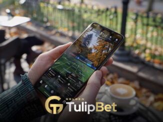 Tulipbet devam eden turnuvalar
