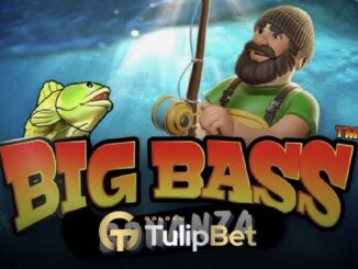 Tulipbet Bigger Bass Bonanza