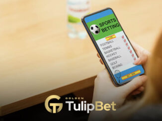 Tulipbet sanal sporlar bölümü