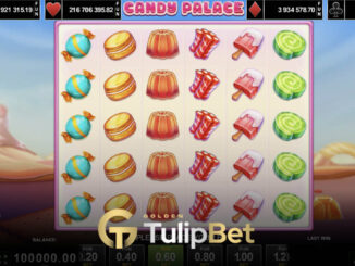 Tulipbet Amusnet sağlayıcısı