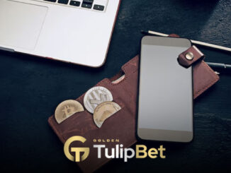 Tulipbet soğuk cüzdan işlemleri