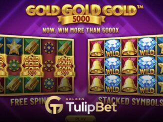 Tulipbet booming games sağlayıcısı