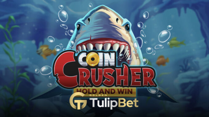 tulipbet-coin-crusher-hold Tulipbet coin crusher hold