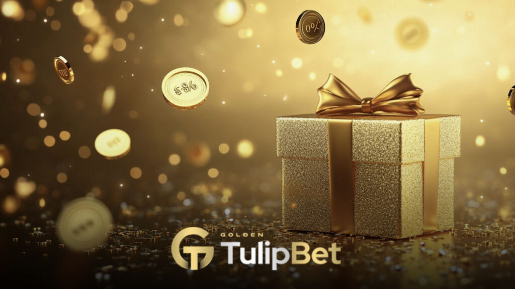 Tulipbet genel bonus kuralları