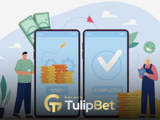 Tulipbet joybank yatırım