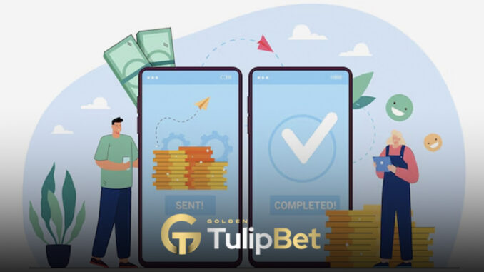 tulipbet-joybank-yatirim Tulipbet joybank yatırım