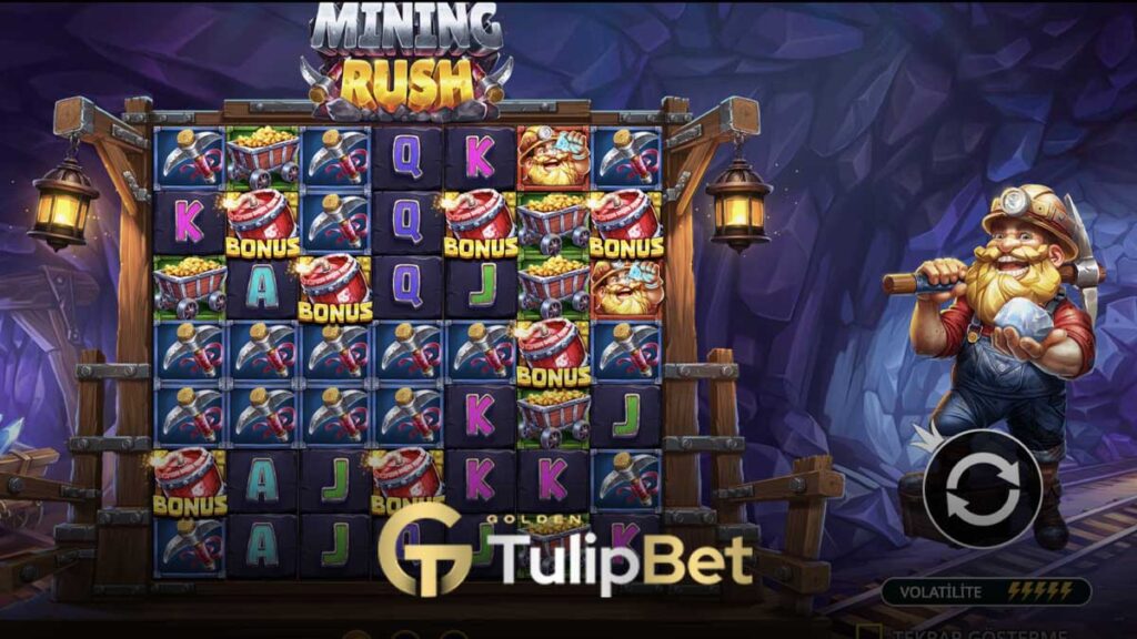 Tulipbet mining rush oyunu
