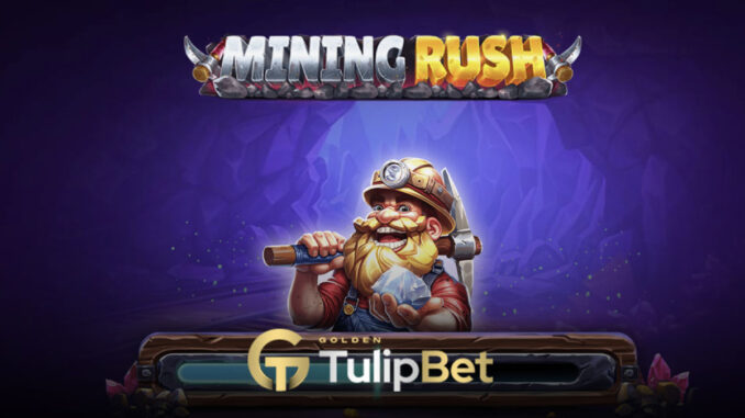 tulipbet-mining-rush-oyunu Tulipbet mining rush oyunu