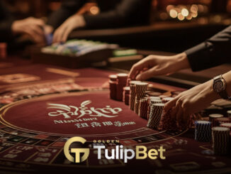 Tulipbet en yeni masa oyunları