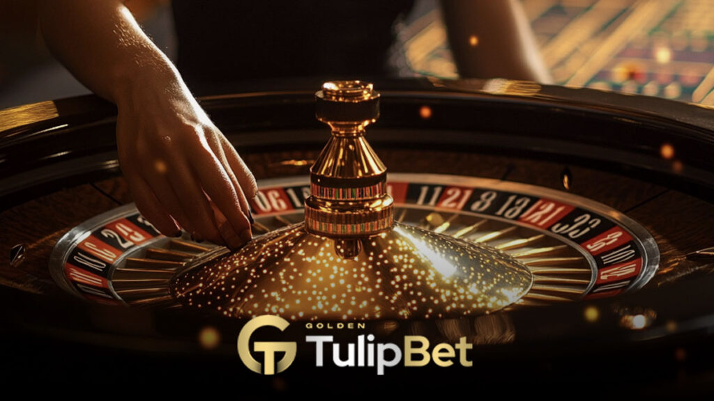 Tulipbet showtime roulette