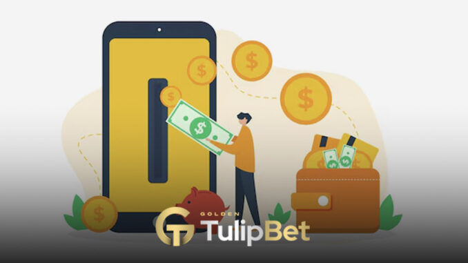 tulipbet-tek-seferde-cekim-imkani-1 Tulipbet tek seferde çekim imkanı